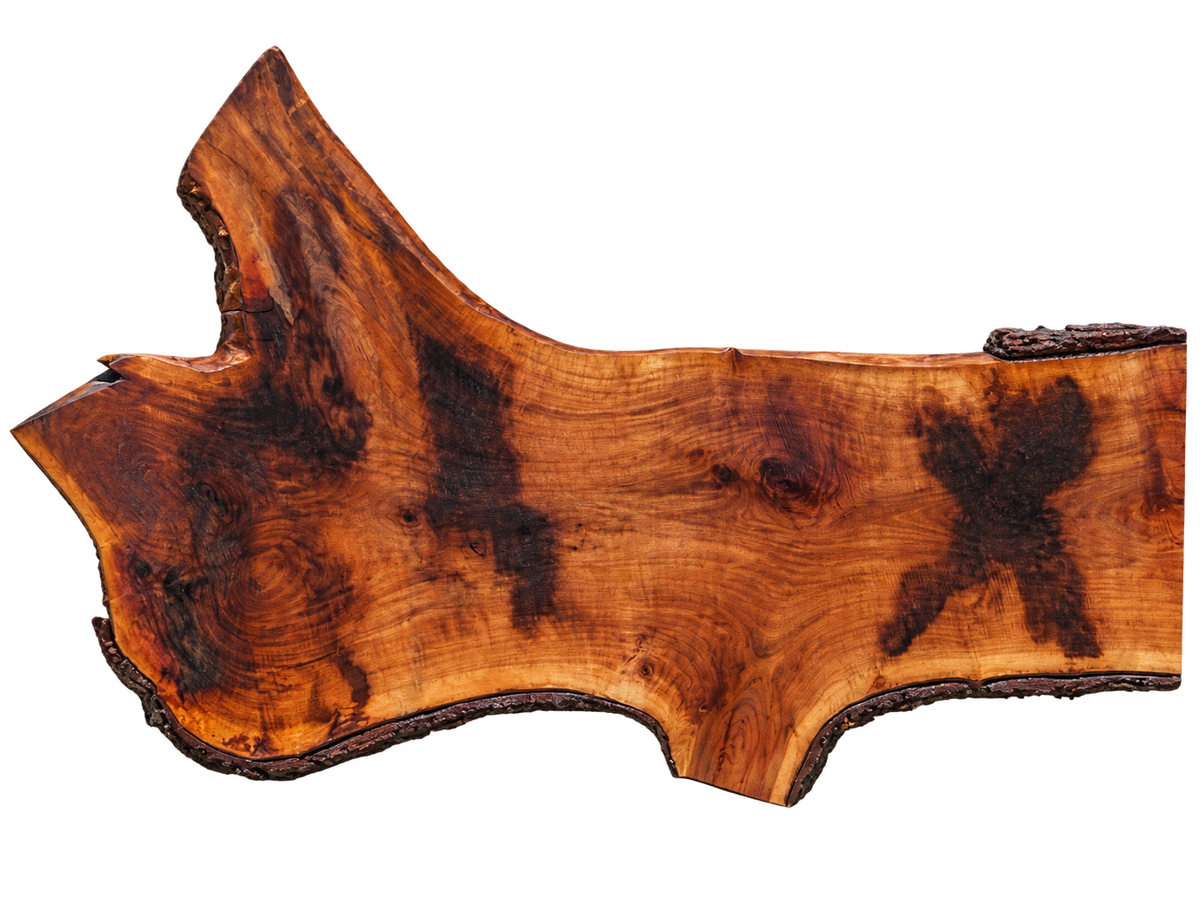 Claro Walnut Slab #17678