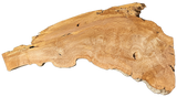 Sycamore Burl 12/4 Live Edge #004
