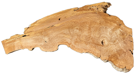 Sycamore Burl 12/4 Live Edge #004