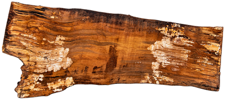 ES Maple Live Edge #001