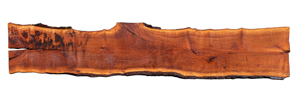 Claro Walnut Slab #17756