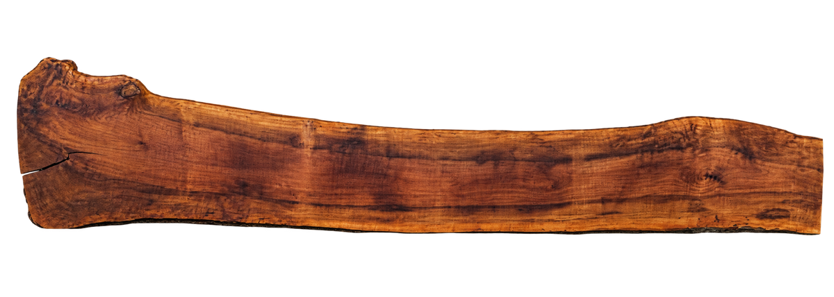Claro Walnut Slab #17706