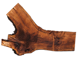 Claro Walnut Slab #17721