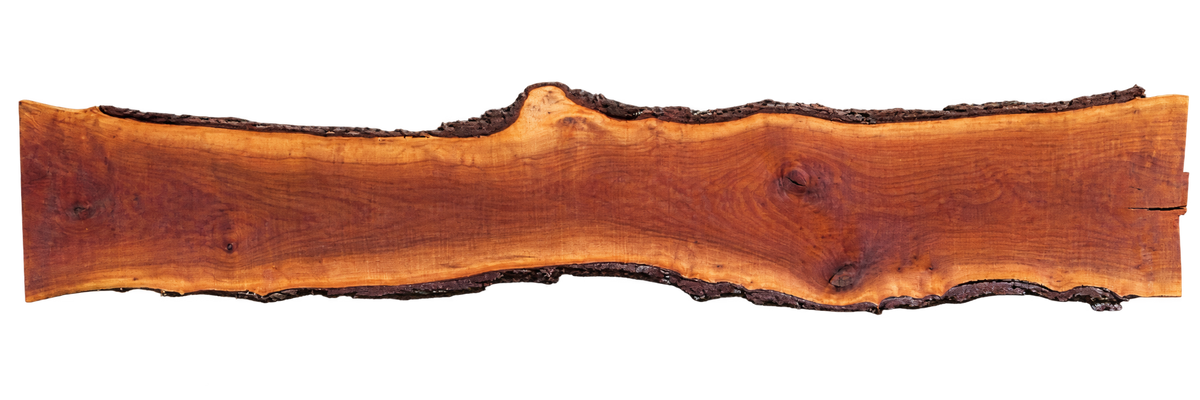 Claro Walnut Slab #17754