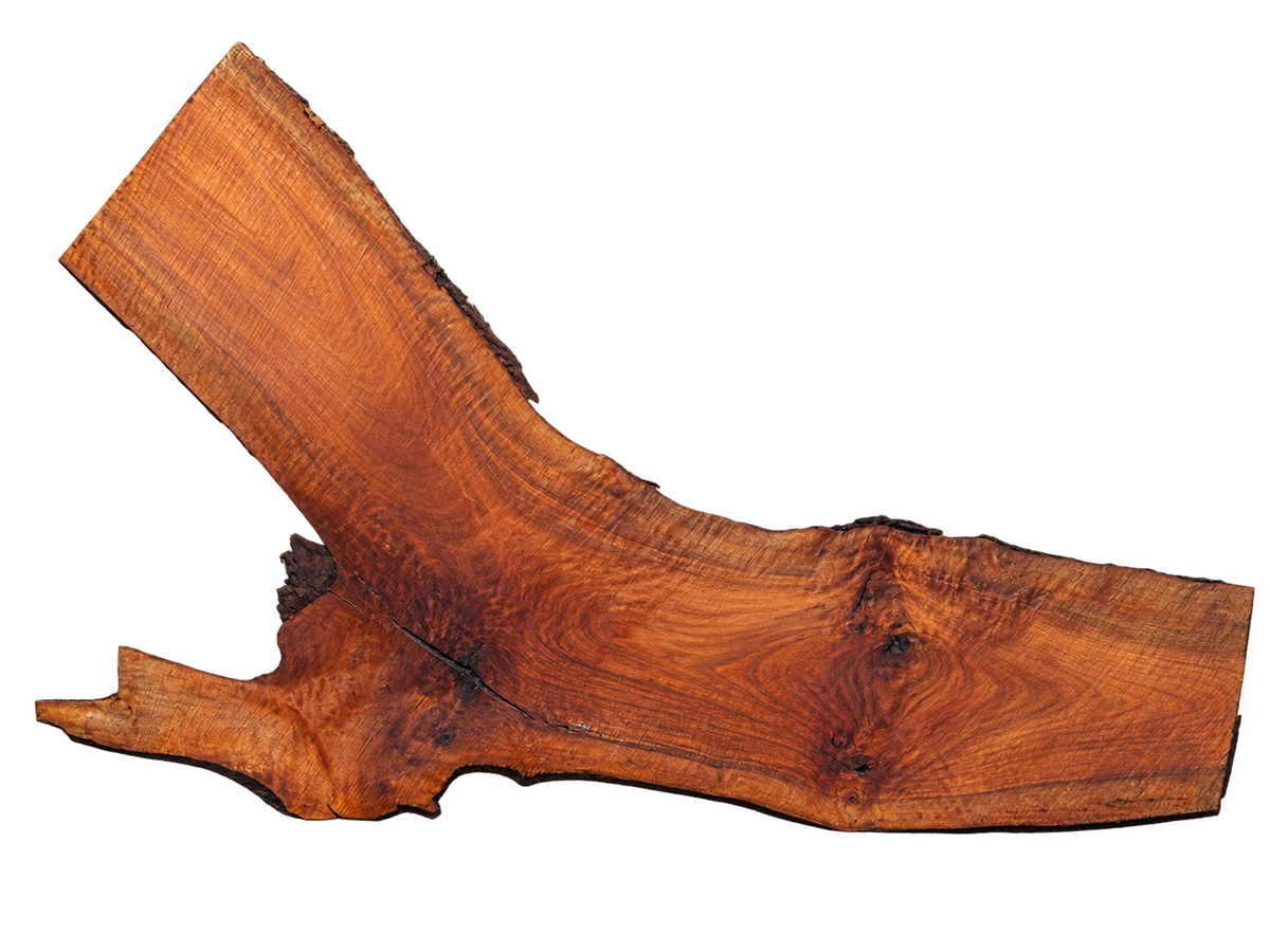 Claro Walnut Slab #17722
