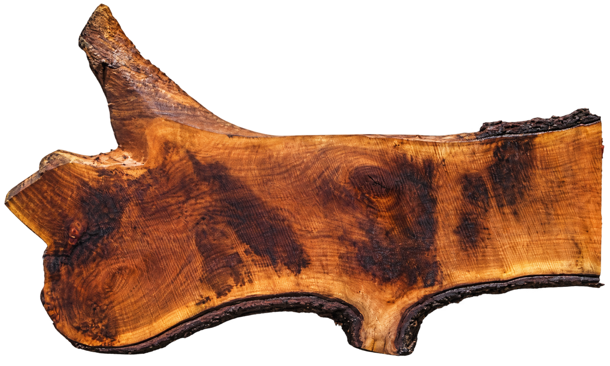 Claro Walnut Slab #17677
