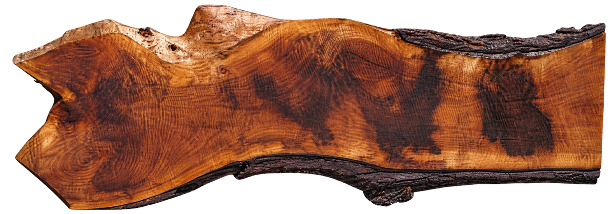 Claro Walnut Slab #17676