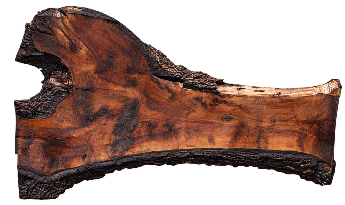 Claro Walnut Slab #17661