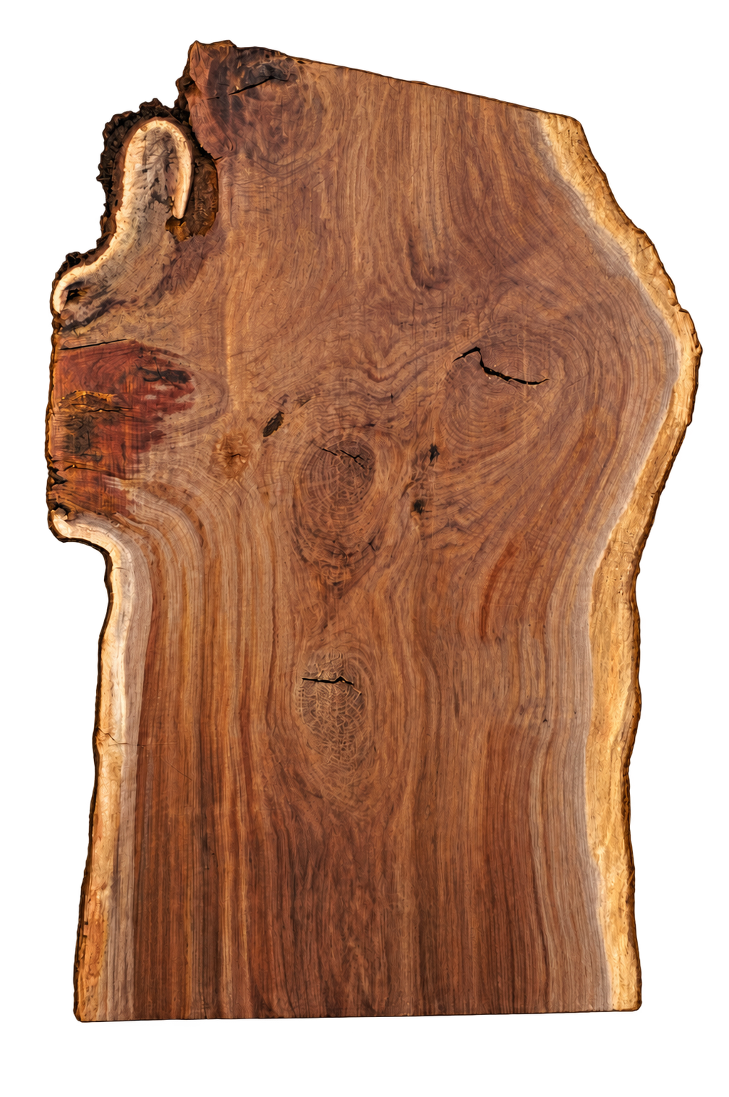 Black Walnut Live Edge #012625-24