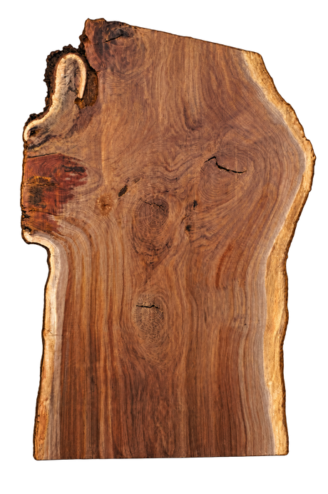 Black Walnut Live Edge #012625-24