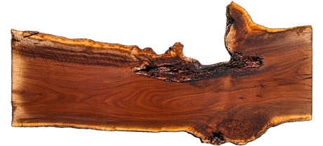 Claro Walnut Live Edge #05652