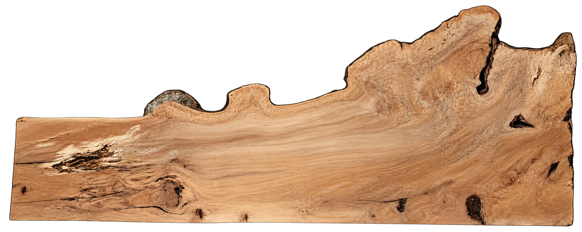 Sycamore Live Edge #07810A