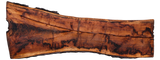 Claro Walnut Slab #17615