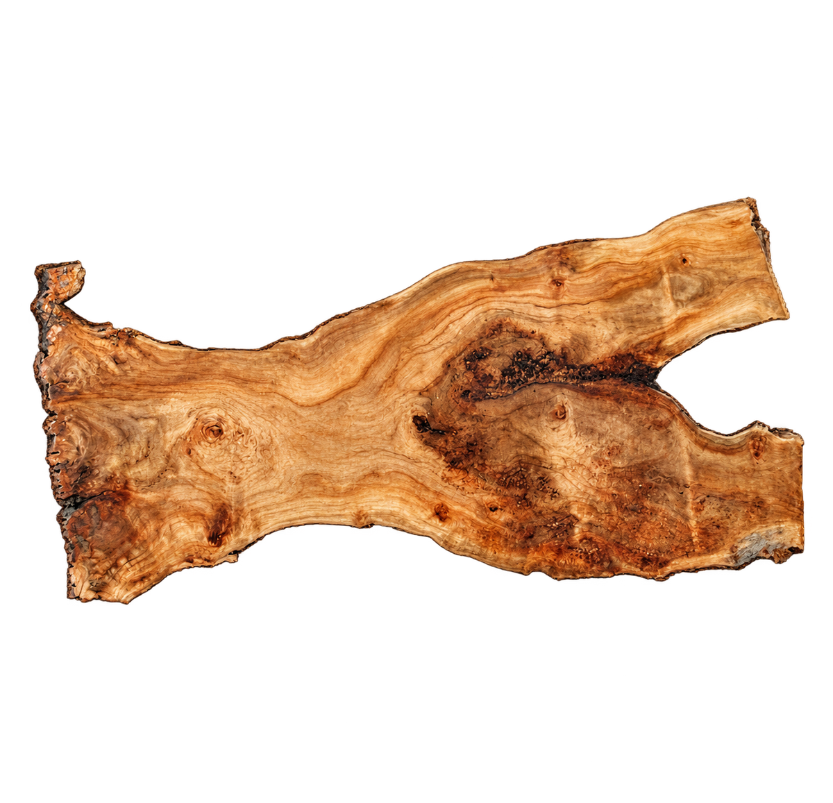 California Cottonwood Live Edge #09634