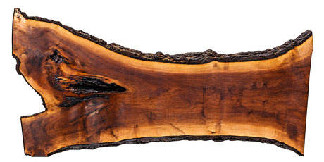 Claro Walnut Slab #17780