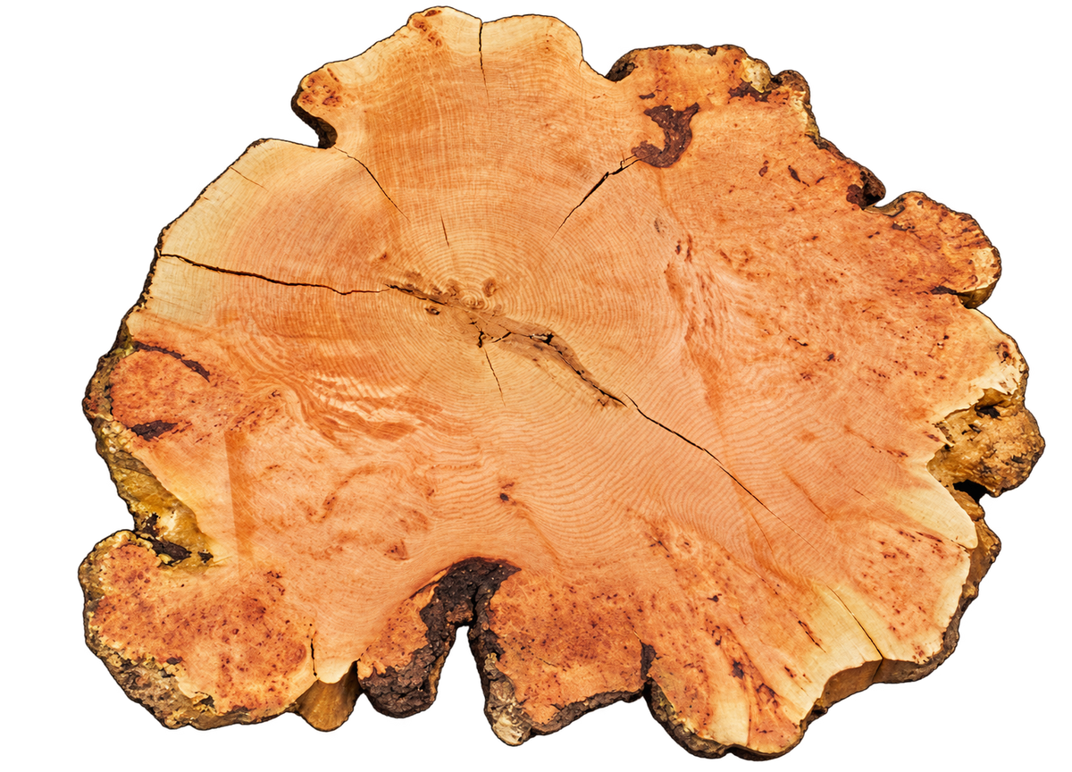 Fir Burl Live Edge #06794