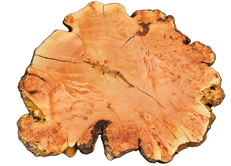 Fir Burl Live Edge #06794