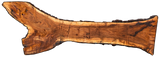 Claro Walnut Slab #17774