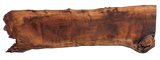 Claro Walnut Slab #17674