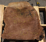 Claro Walnut Burl Cookie #021