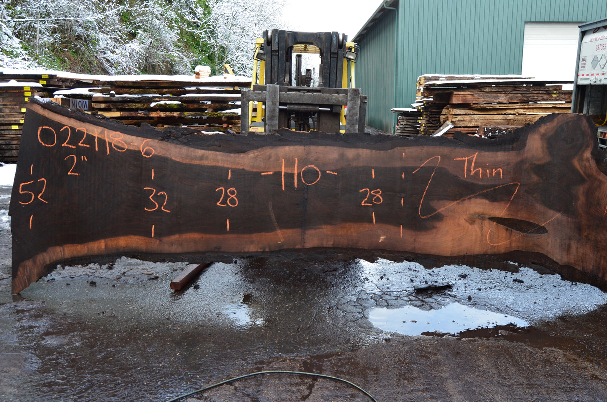 Black Walnut Live Edge #022118-06