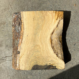 Lignum Vitae 10”x9”x2.5”