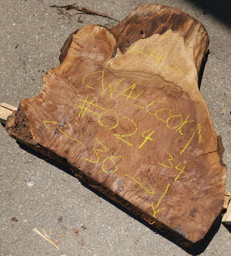 Claro Walnut Burl Cookie #024