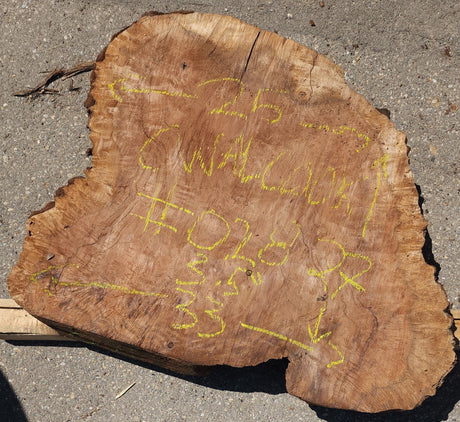 Claro Walnut Burl Cookie #028