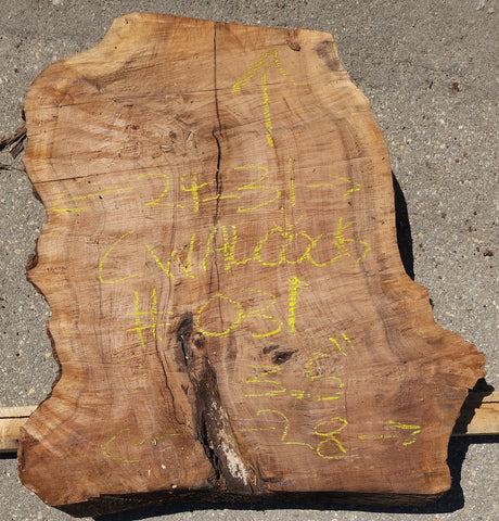 Claro Walnut Burl Cookie #031