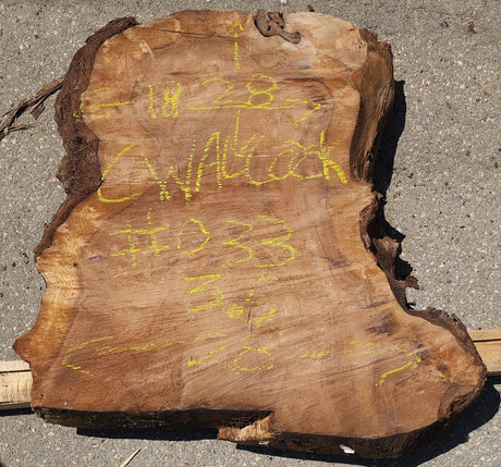 Claro Walnut Burl Cookie #033