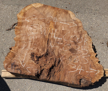 Claro Walnut Burl Cookie #035