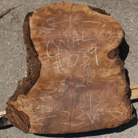 Claro Walnut Burl Cookie #039