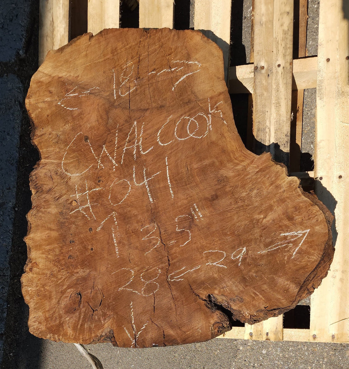 Claro Walnut Burl Cookie #041