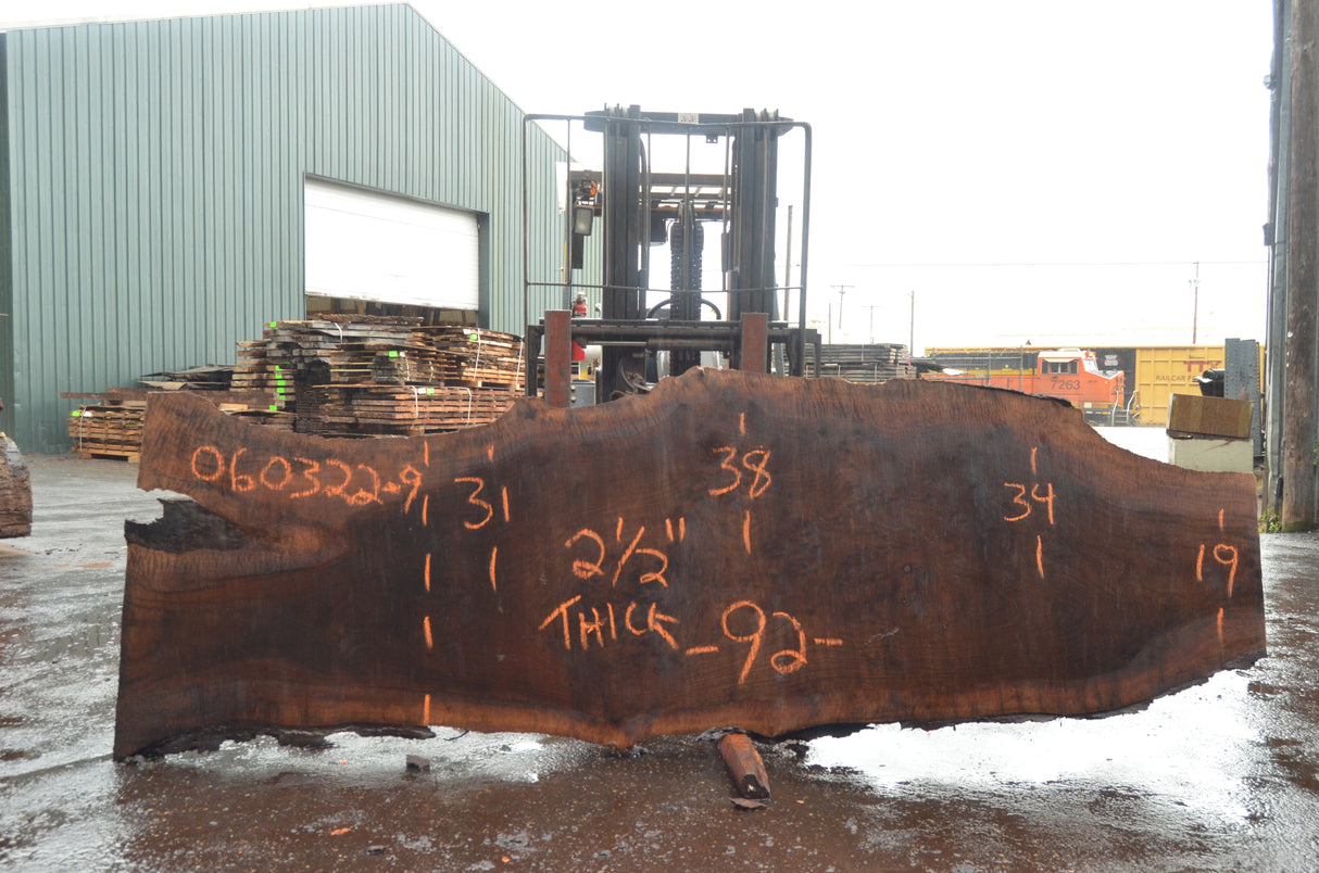 Black Walnut Live Edge #060322-09