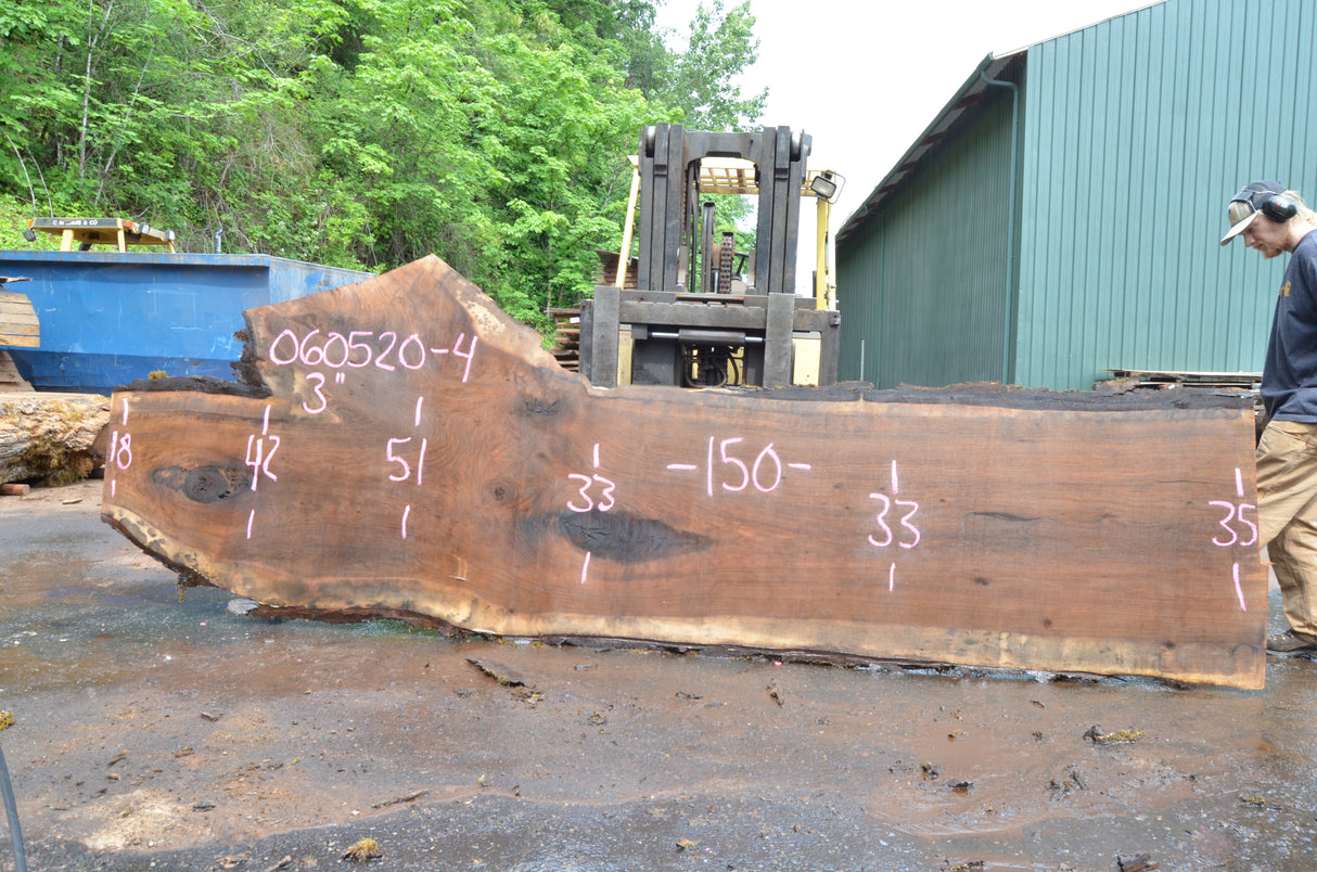 Black Walnut Live Edge #060520-04