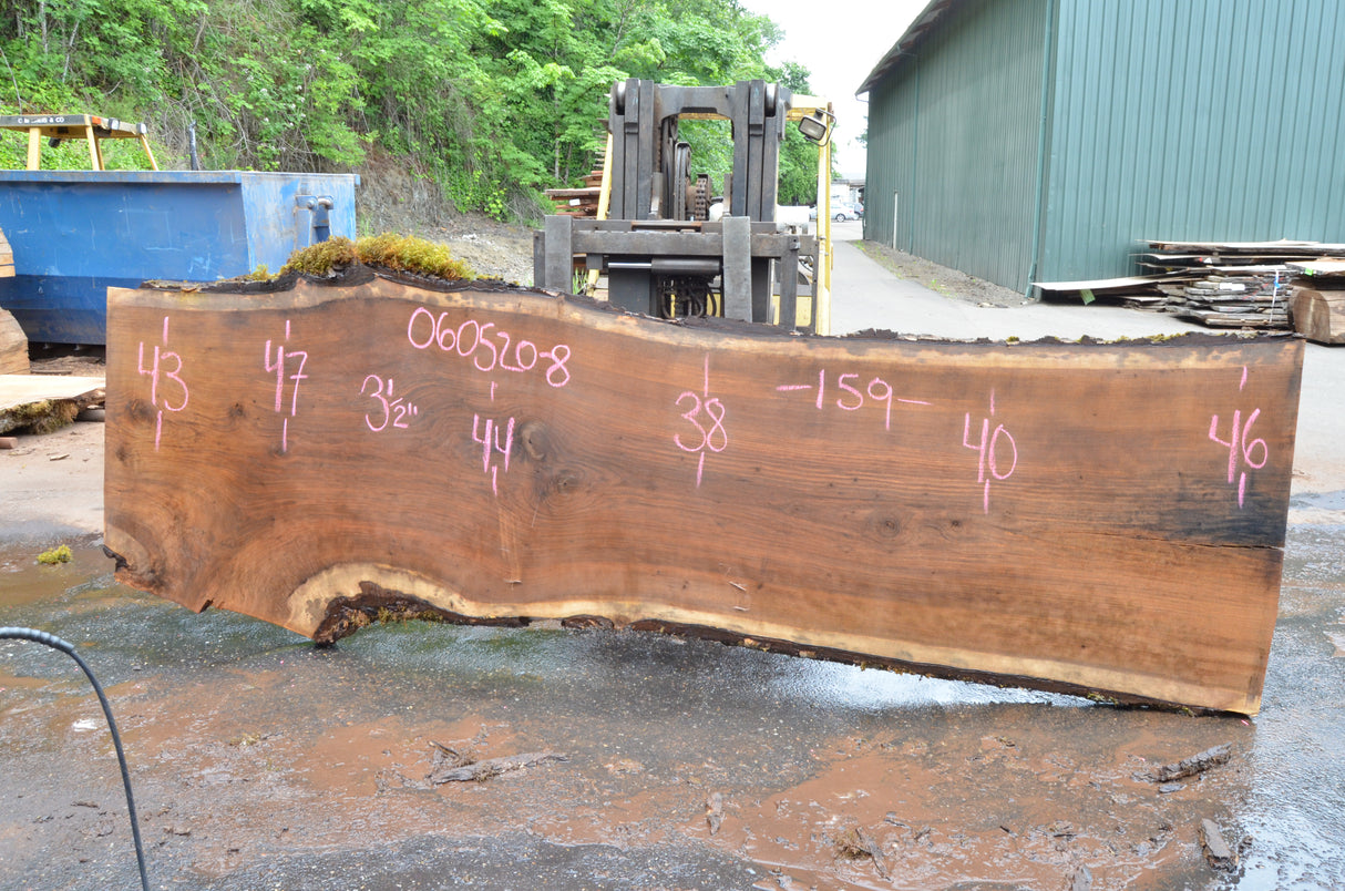 Black Walnut Live Edge #060520-08