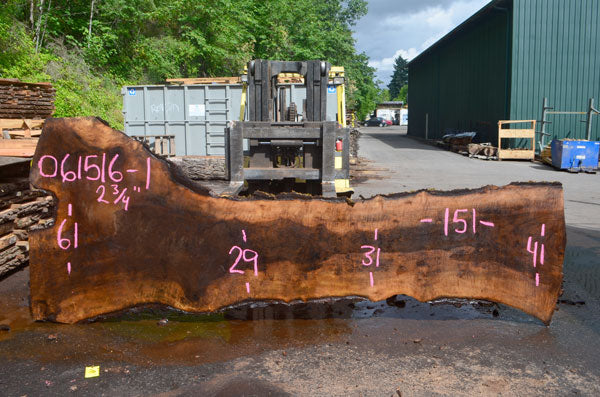 Black Walnut Live Edge #061516-01