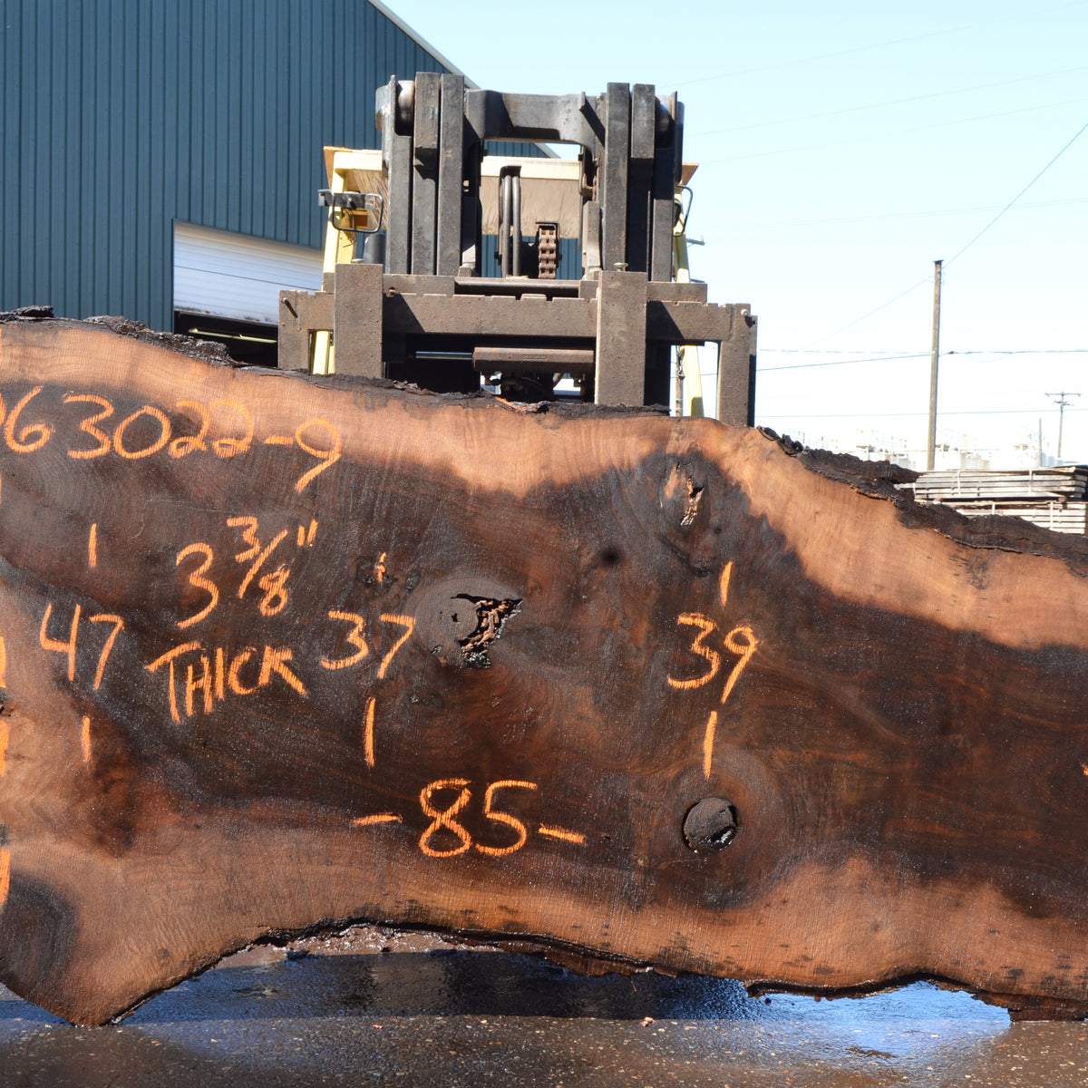 Black Walnut Live Edge #063022-09 – Black Forest Wood Co.