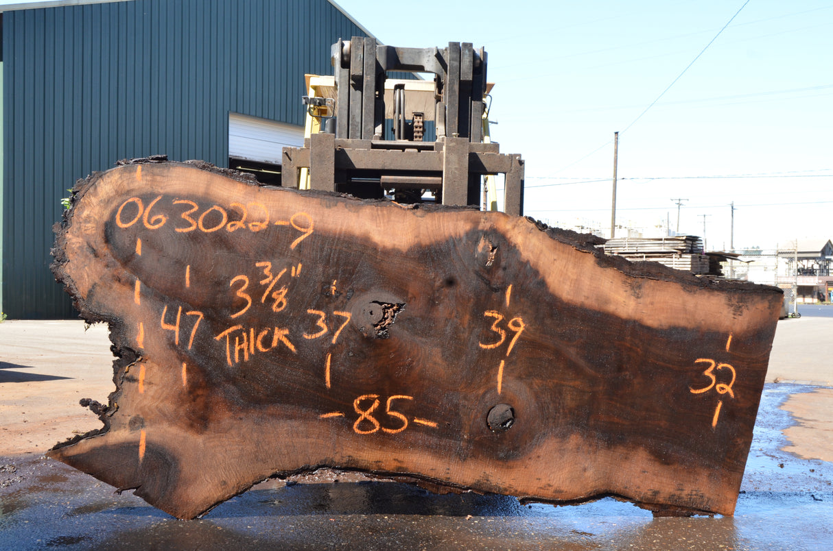 Black Walnut Live Edge #063022-09