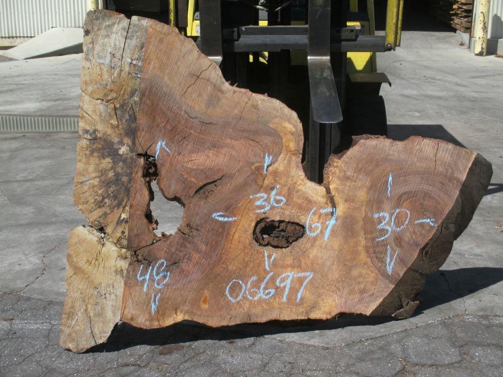 Bastogne Walnut Live Edge #06697