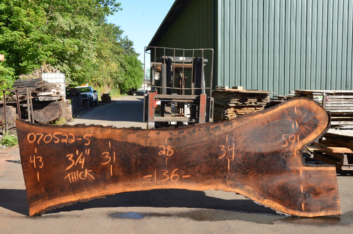 Black Walnut Live Edge #070522-05