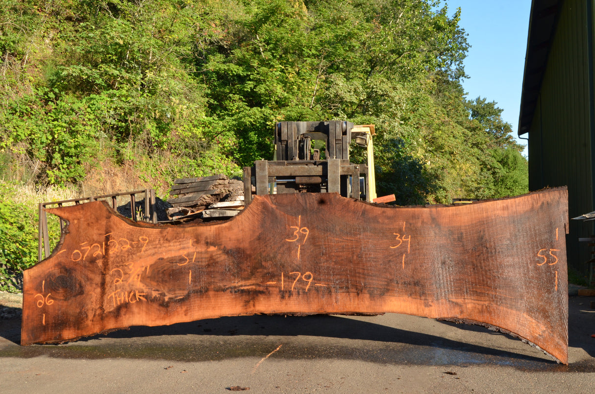 Black Walnut Live Edge #072122-09