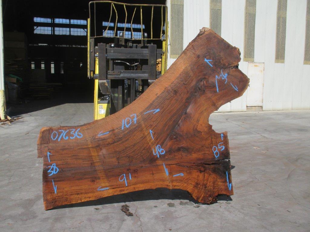 Bastogne Walnut Live Edge #07636