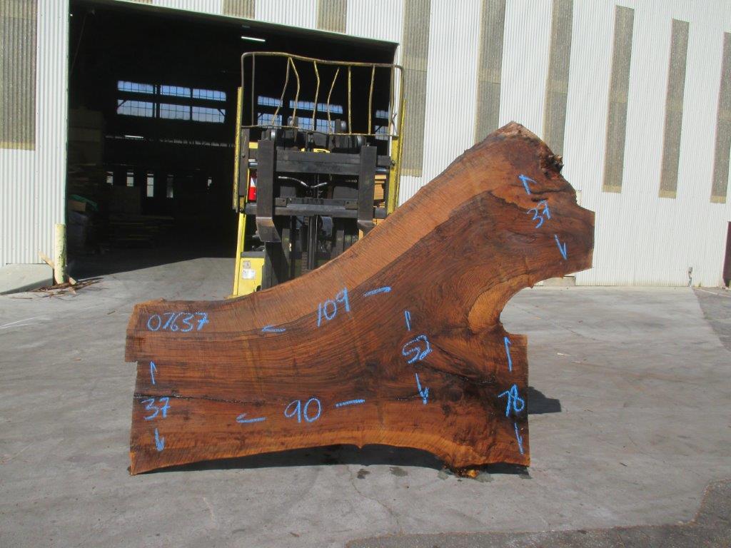 Image showcasing Live Edge Slabs – Black Forest Wood Co.