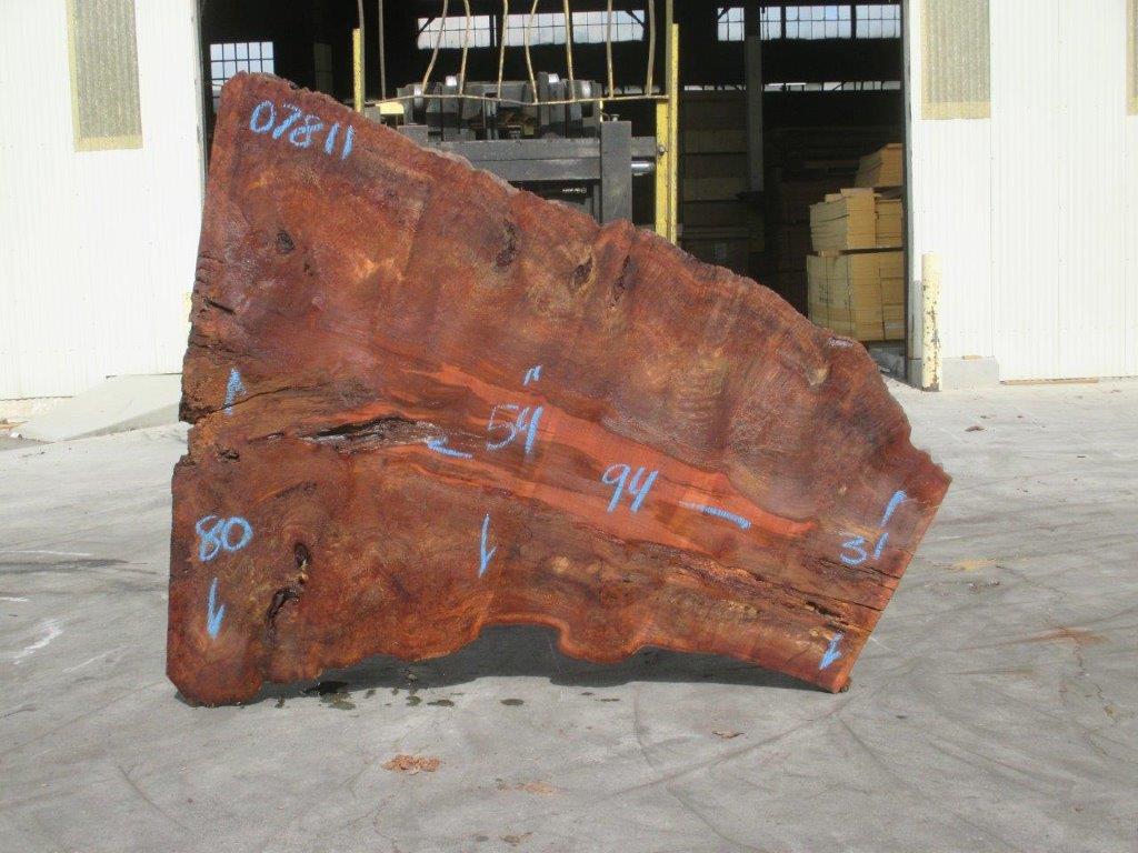 Sycamore Live Edge #07811