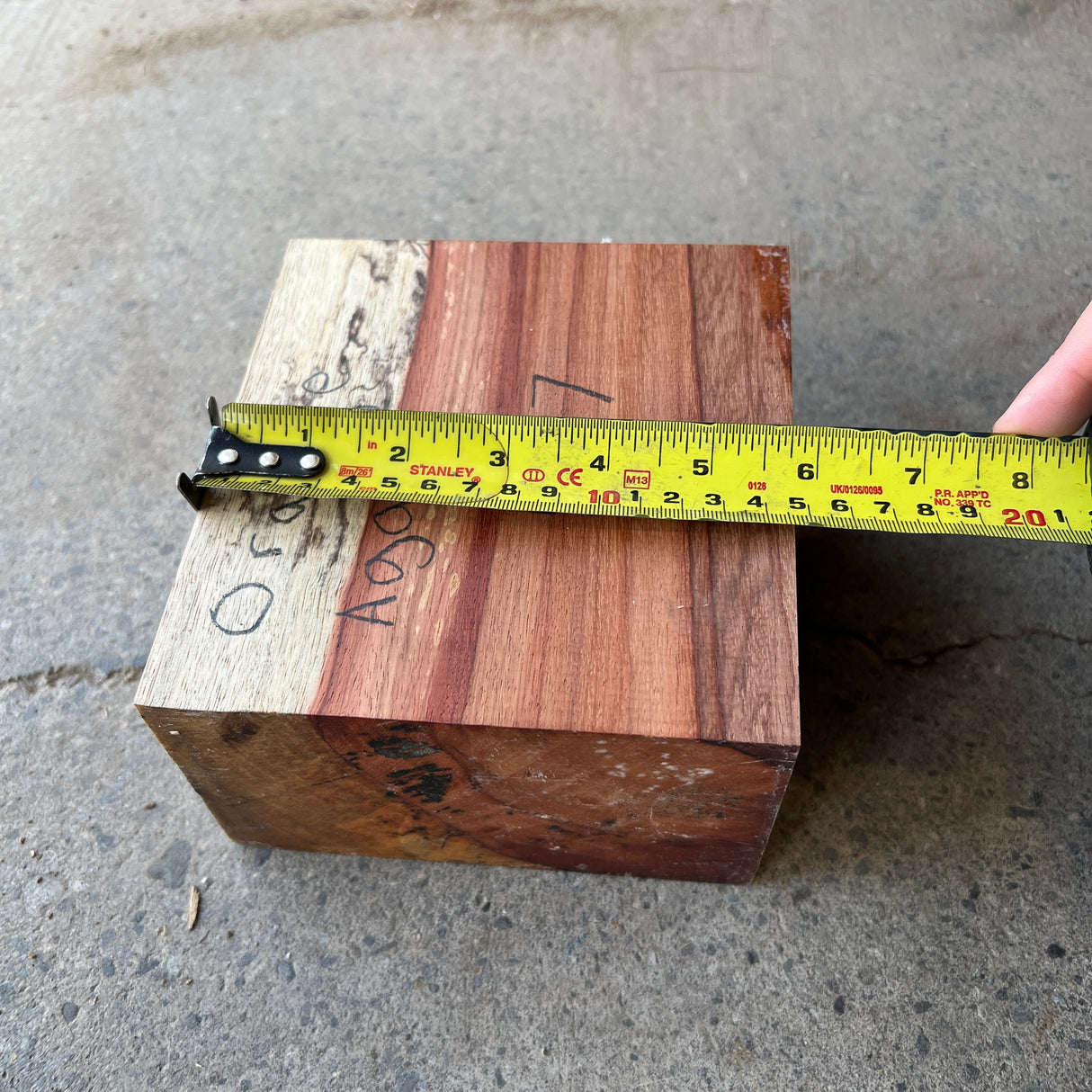 Spalted Orange Agate 6”x5.5”x3.5”