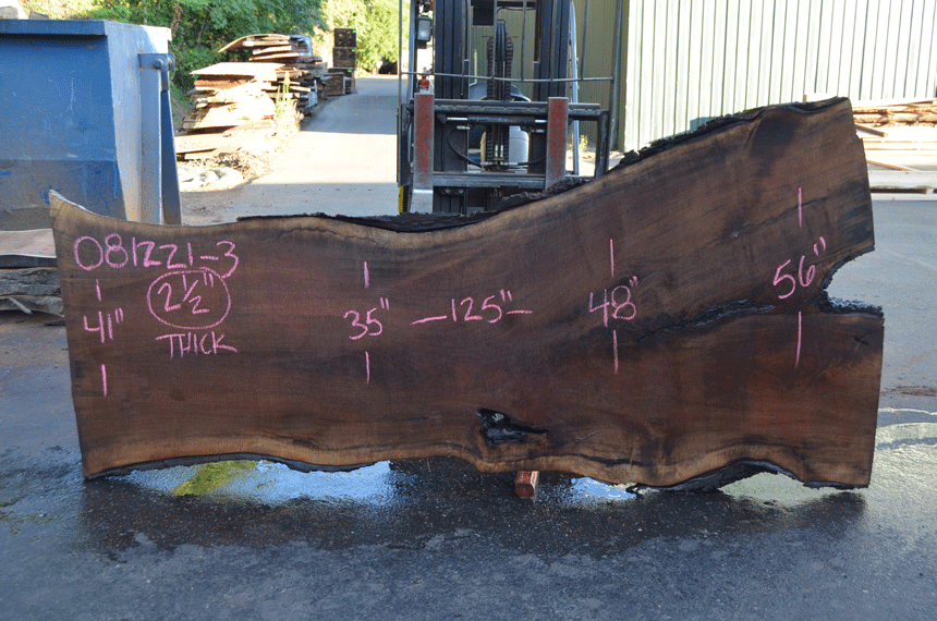 Black Walnut Live Edge #081221-03