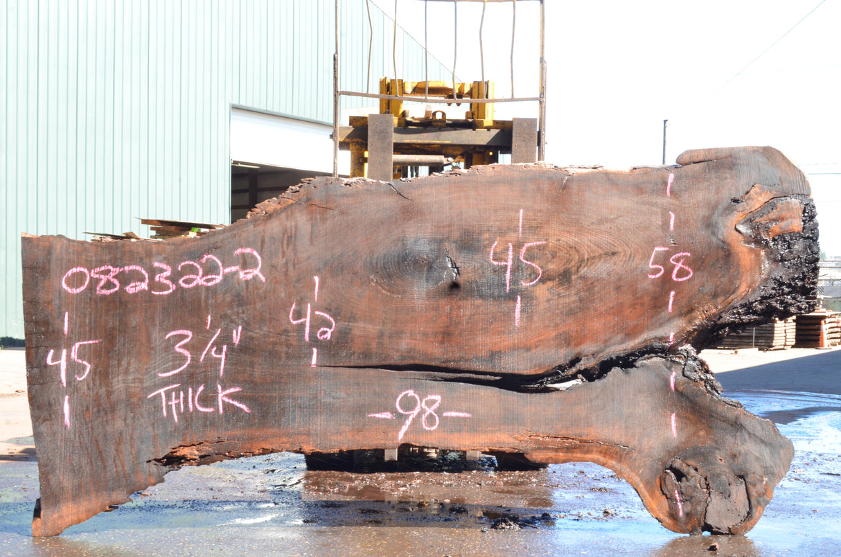 Black Walnut Live Edge #082322-02