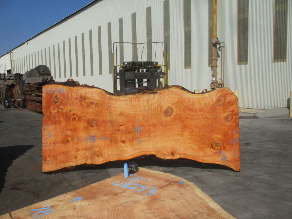 Spruce Live Edge #08248