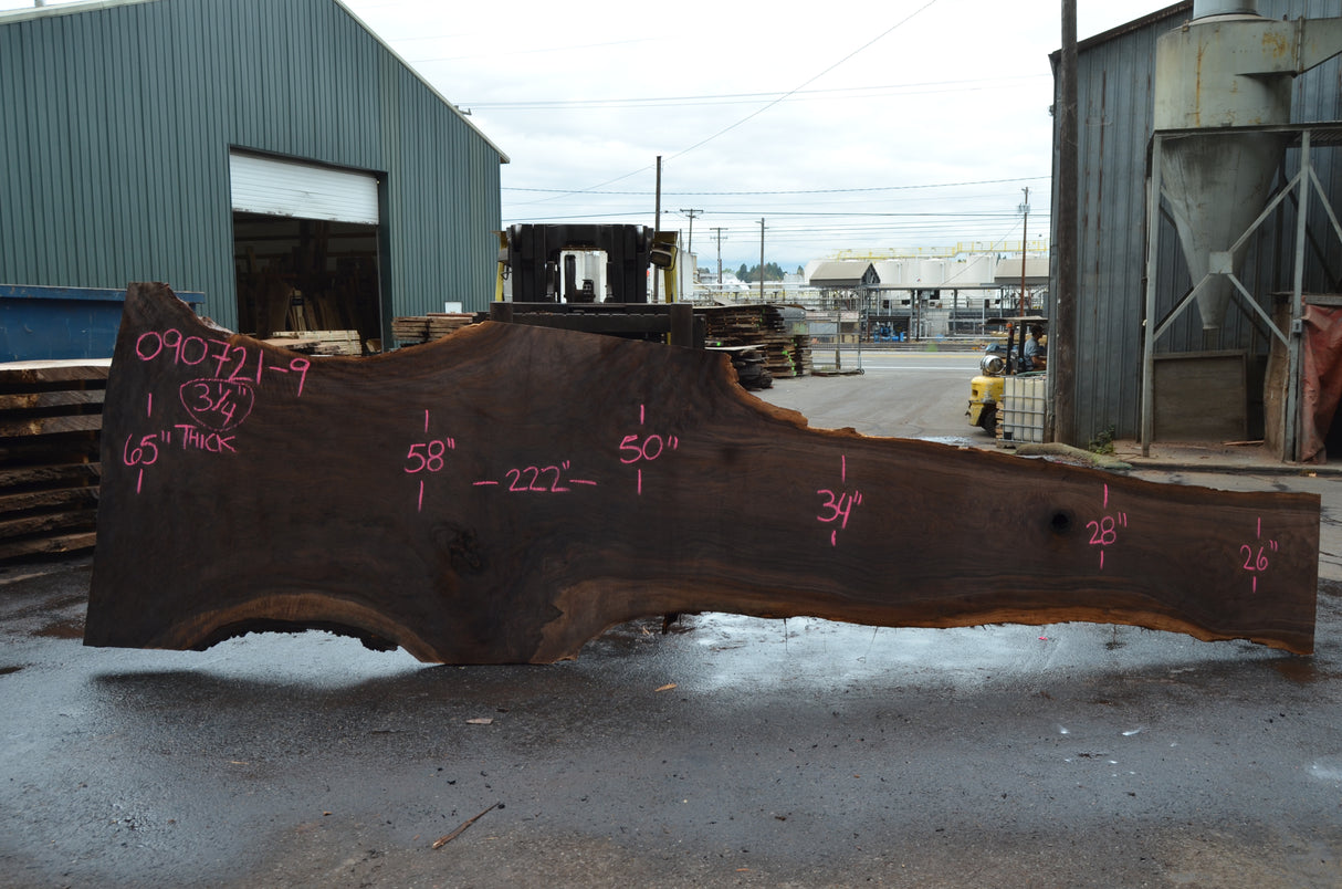 Black Walnut Live Edge #090721-09